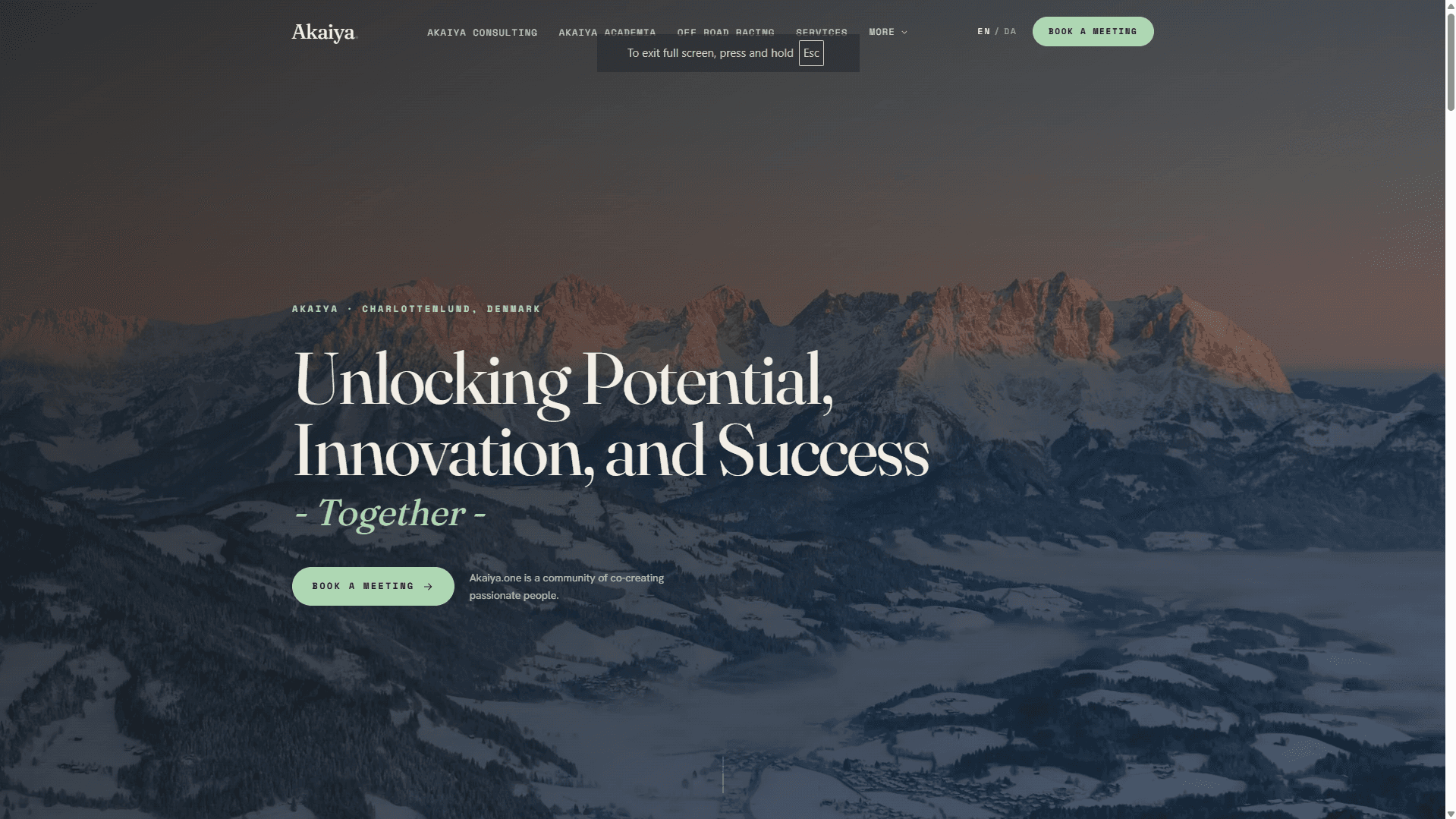 Website redesign - after