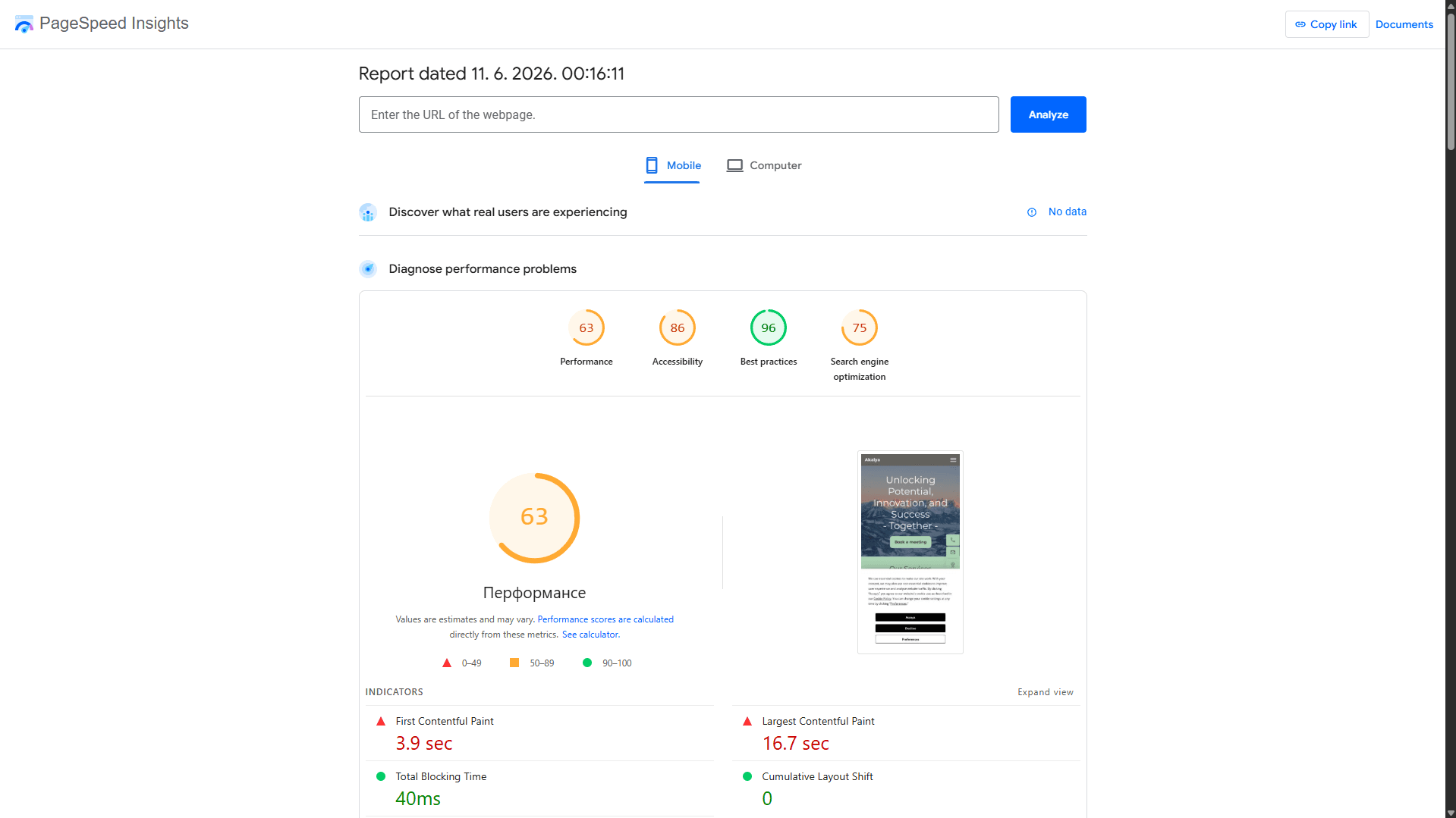 PageSpeed Insights izveštaj - before