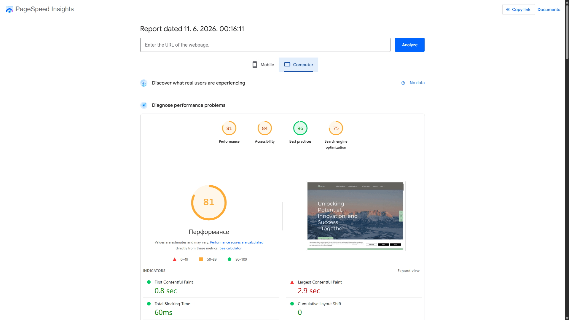 PageSpeed Insights izveštaj - before